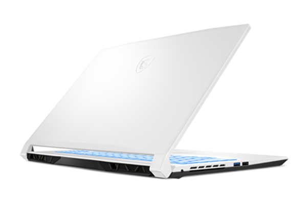 MSI Sword / Katana GF Series