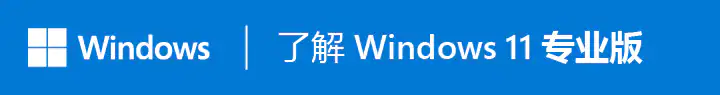 Windows 10 Pro