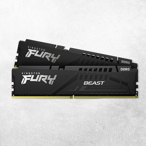 Kingston FURY Beast DDR5