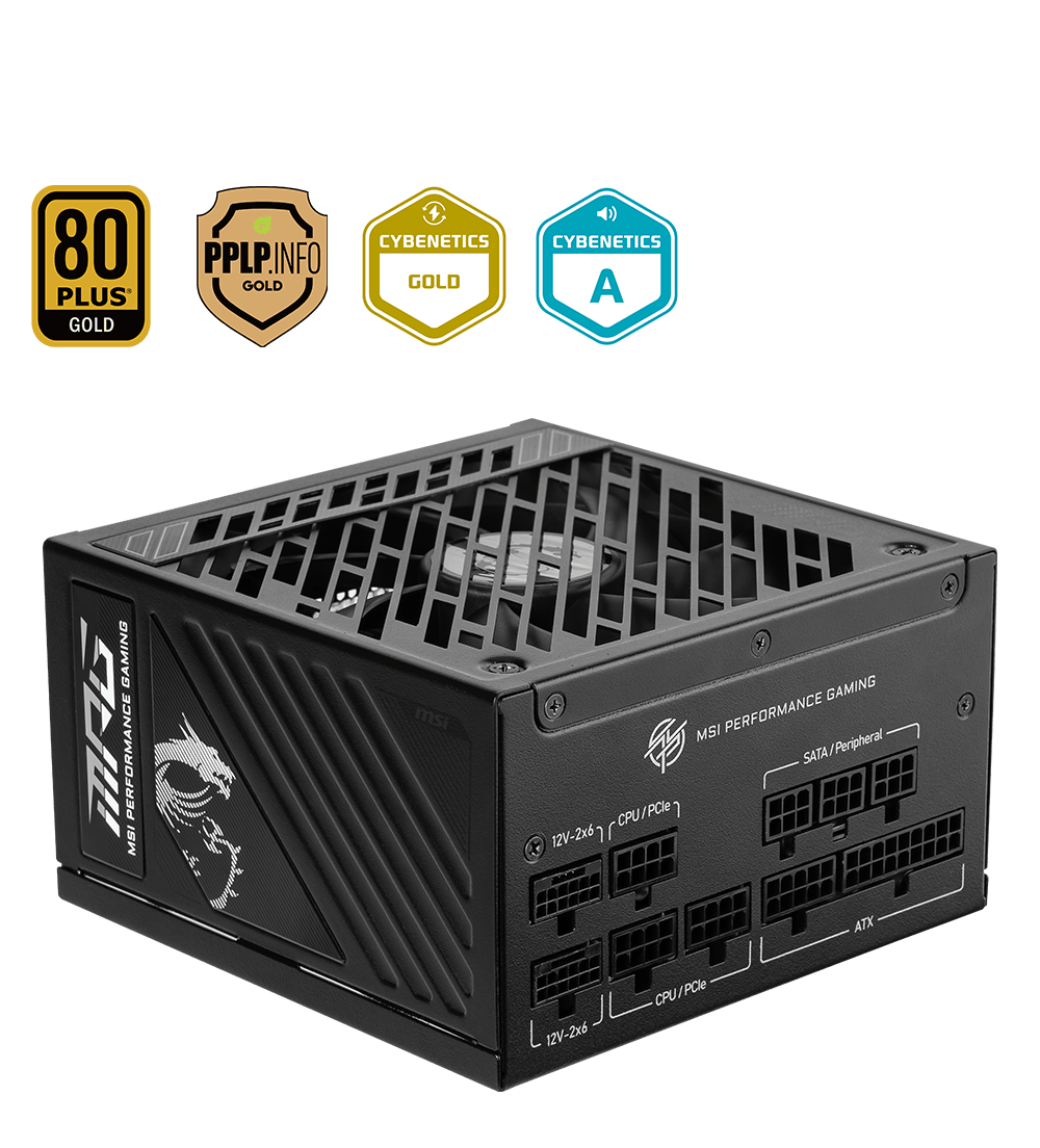 MSI MPG A1000GS PCIE5 PHOTO