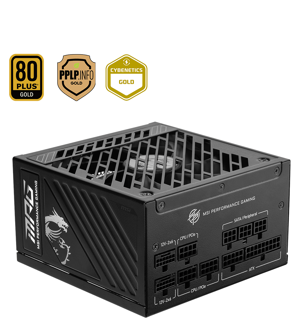 MSI MPG A1250GS PCIE5 PHOTO