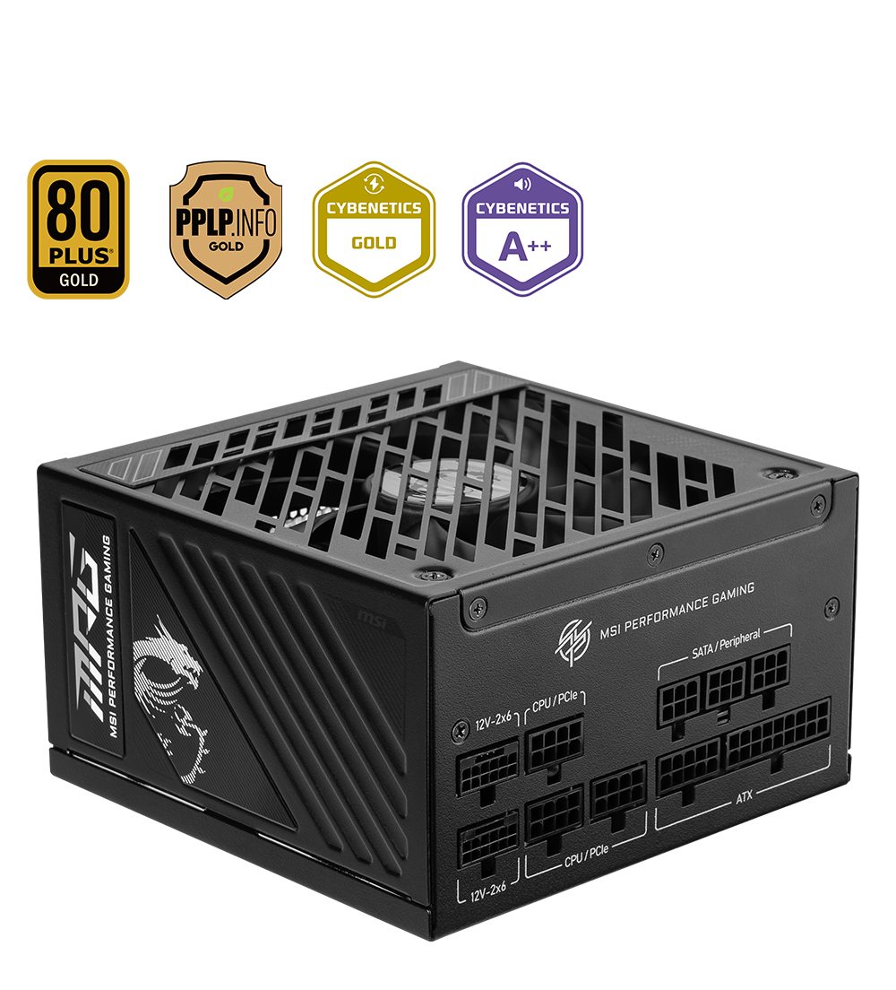 MSI MPG A850GS PCIE5 PHOTO