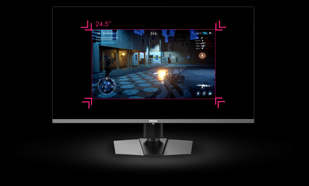 MSI monitor 24.5