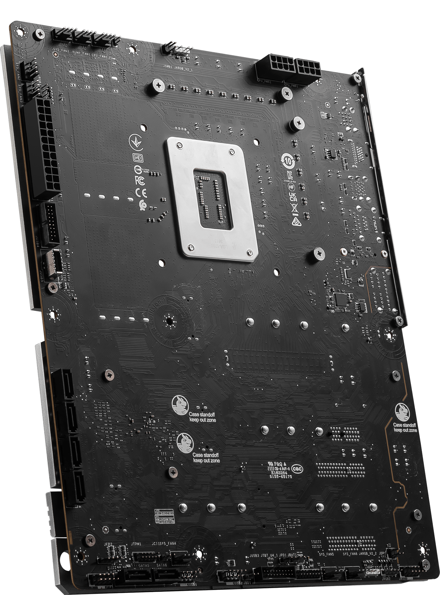 PROJECT ZERO Back-connect