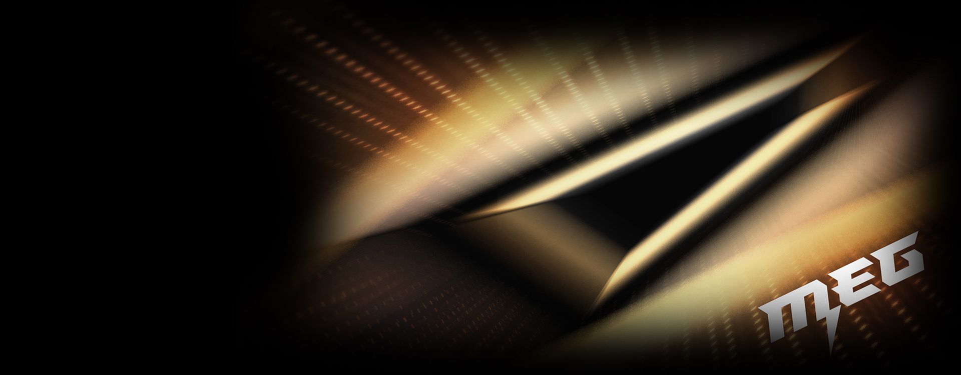 MSI MEG story
