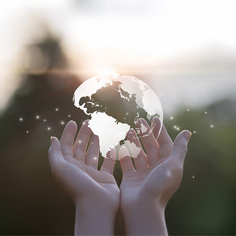 Sustainability Banner