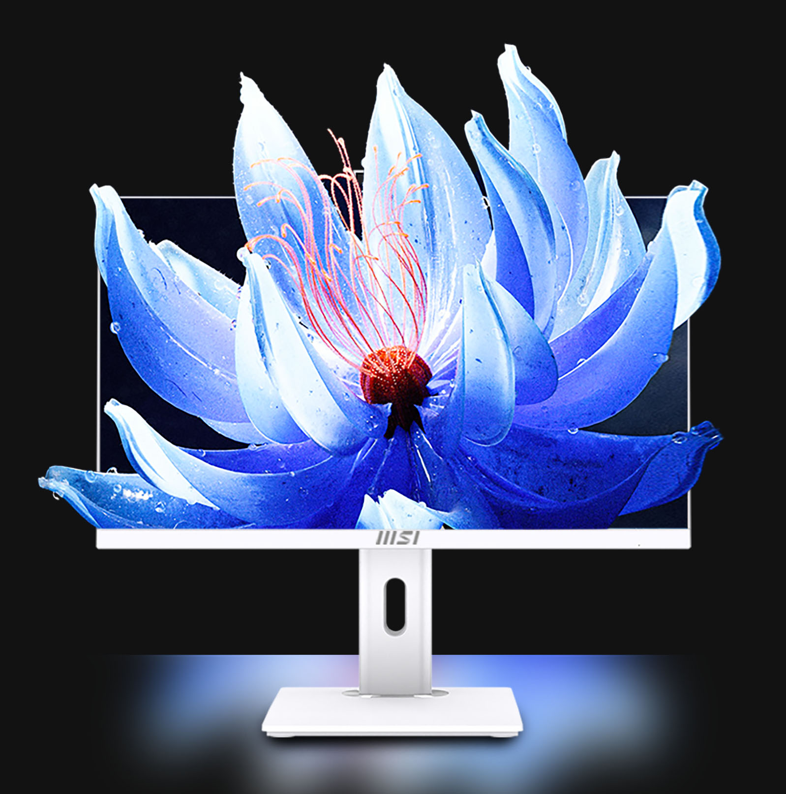 PRO PA271WP / PRO PA271BP