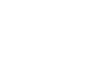 PCIe 5.0 icon