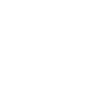 PCIe Gen 5 Ready icon
