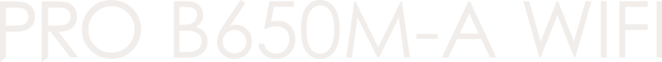 PRO B650M-A WIFI