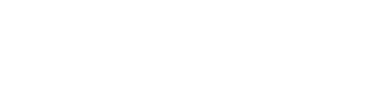 icon connect