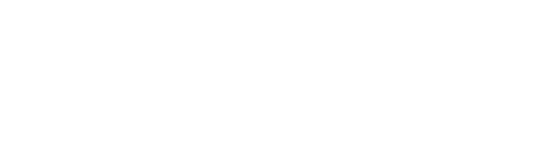 icon 5G LAN
