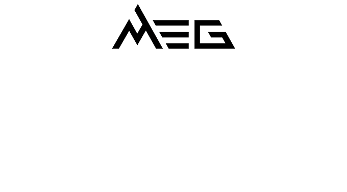 MEG Z590