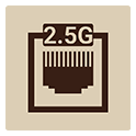 msi lan 2.5g icon