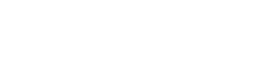 icon 5g