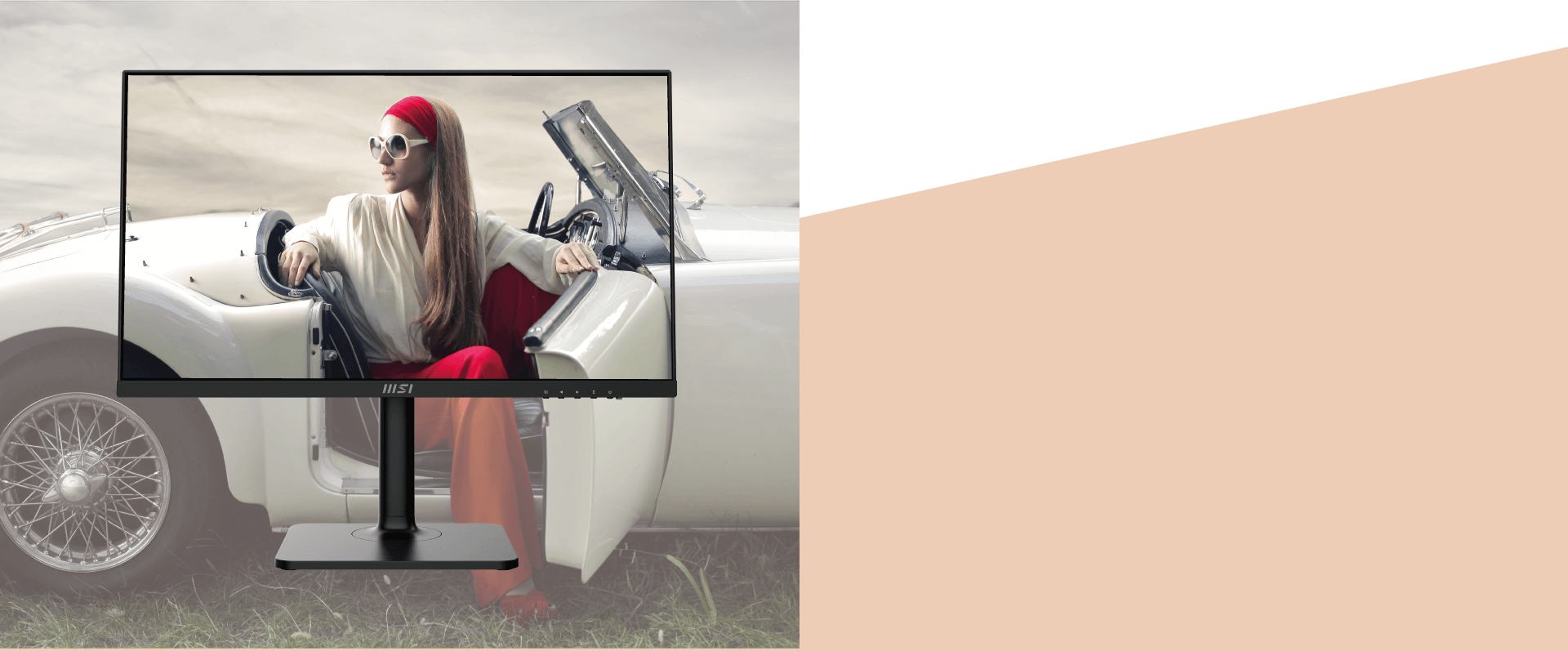 IPS Panel
