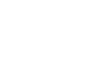 icon - rapid ips