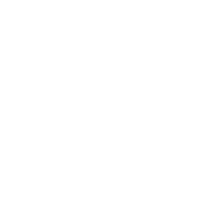 msi solid icon