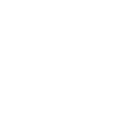 Analog Signal