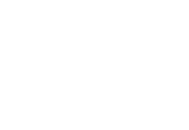GM41