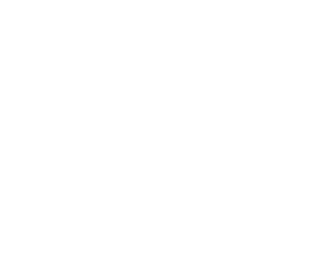 MSI 99.9 whr icon