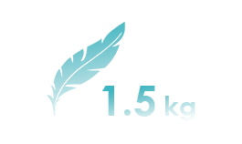 icon Ultra Thin and Light