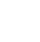 The Foundation for Excellence