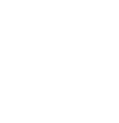 EZ DIY