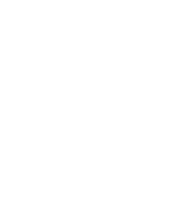 Fan Safeguard