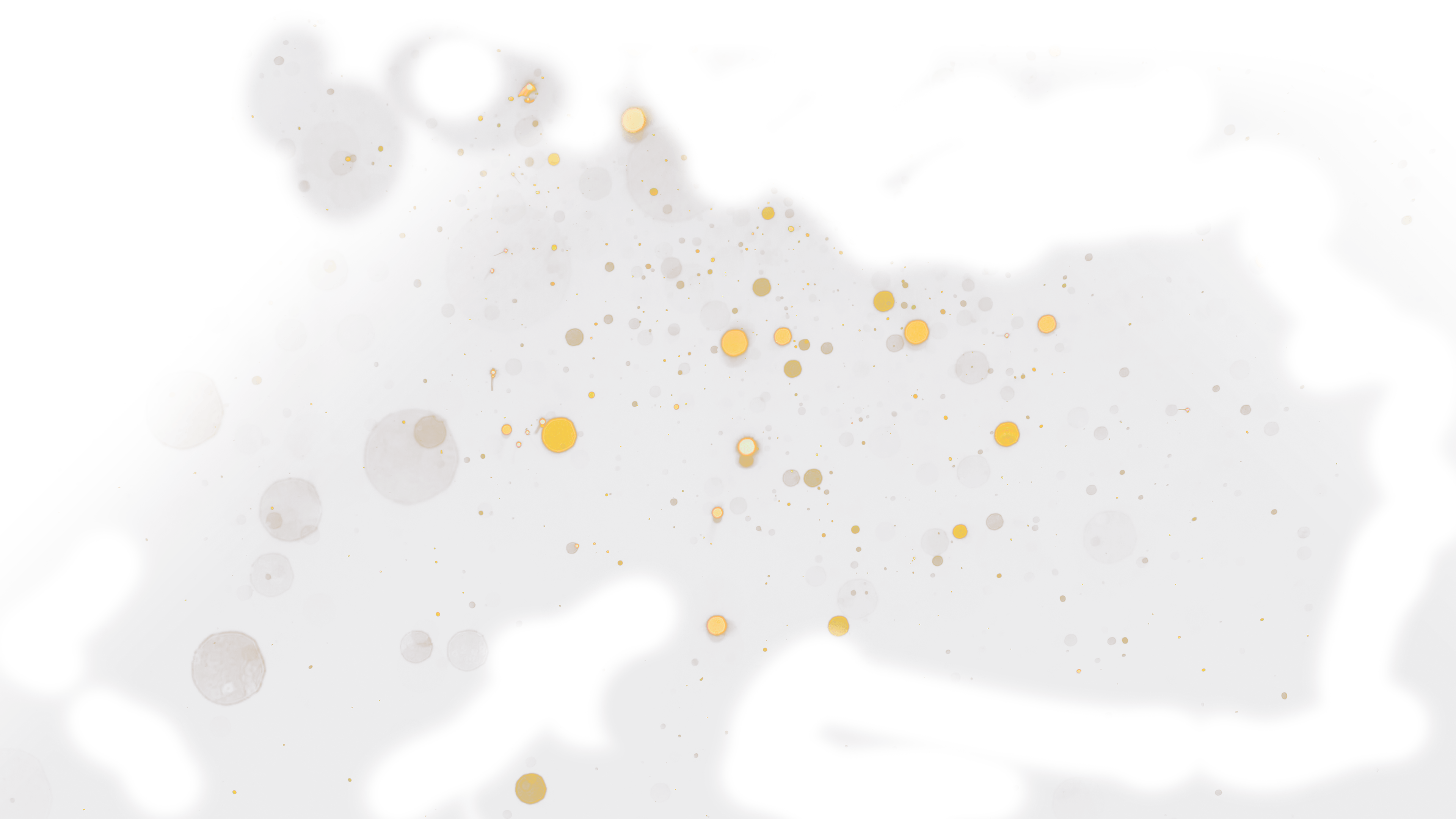 GeForce RTX™ 4060 GAMING X 8G MLG