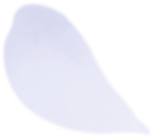 GeForce RTX 5070 Ti Frieren Edition floating flower petal 5