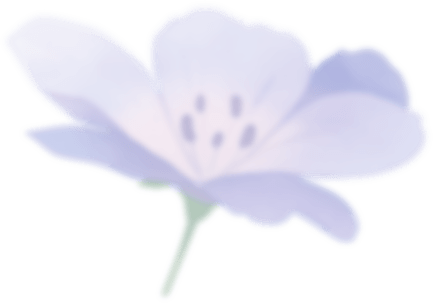 Frieren Edition Flower Decoration