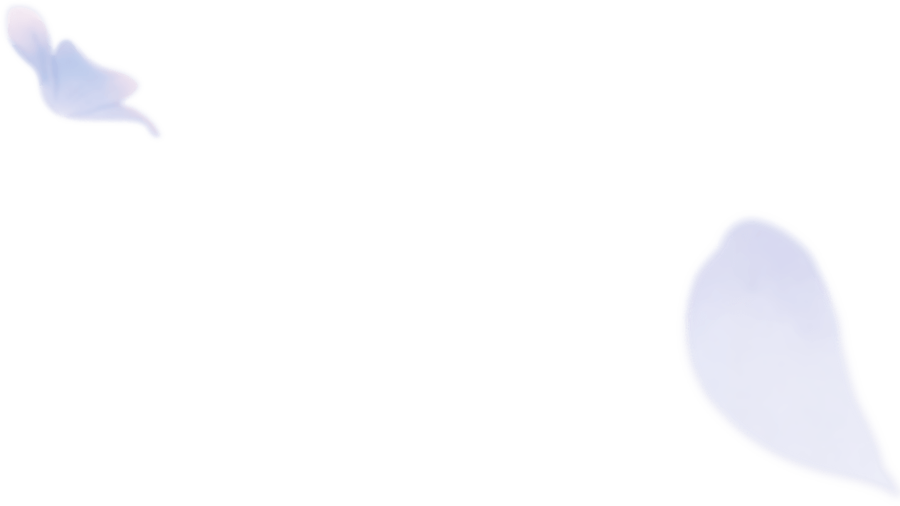 Frieren Edition Flower Decoration