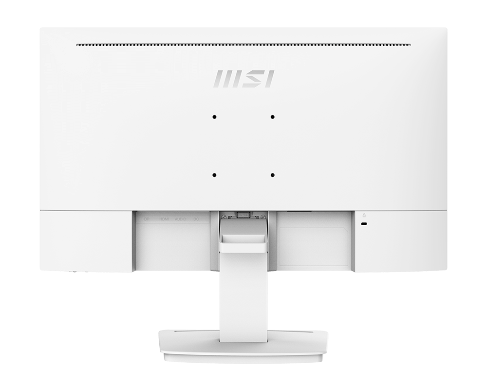 PRO MP243W