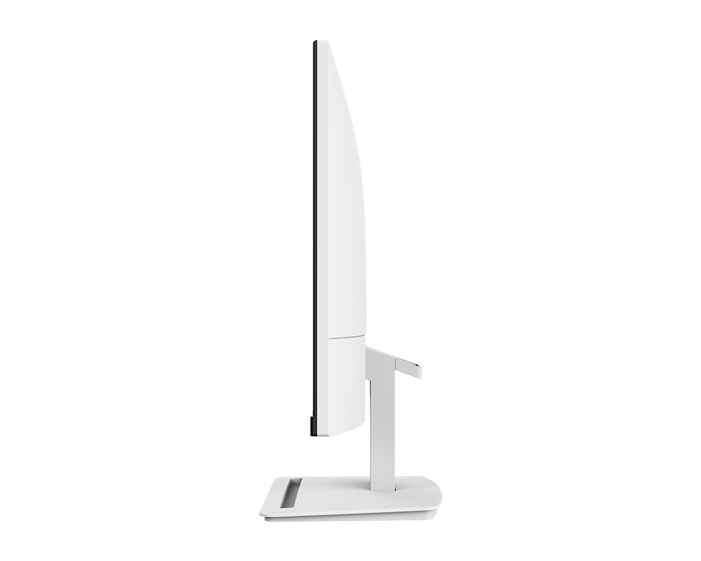 PRO MP243W