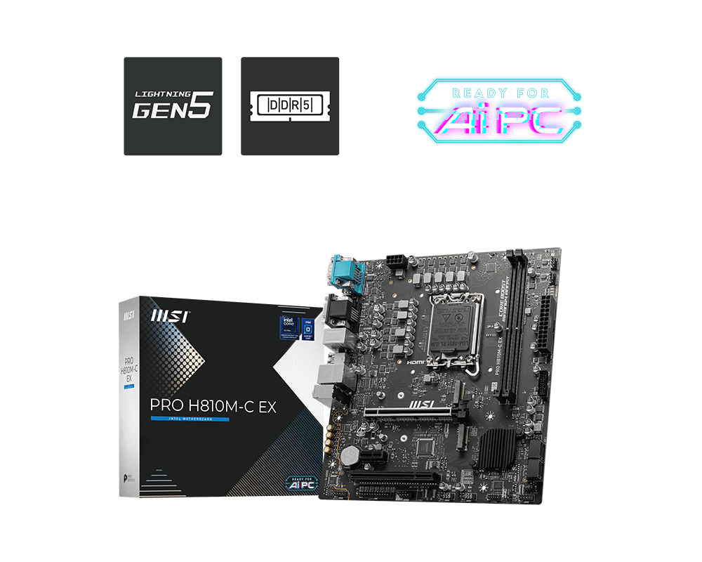 PRO H810M-C EX