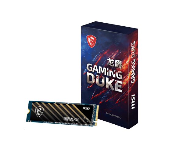 DUKE M450 PCIe 4.0 NVMe M.2